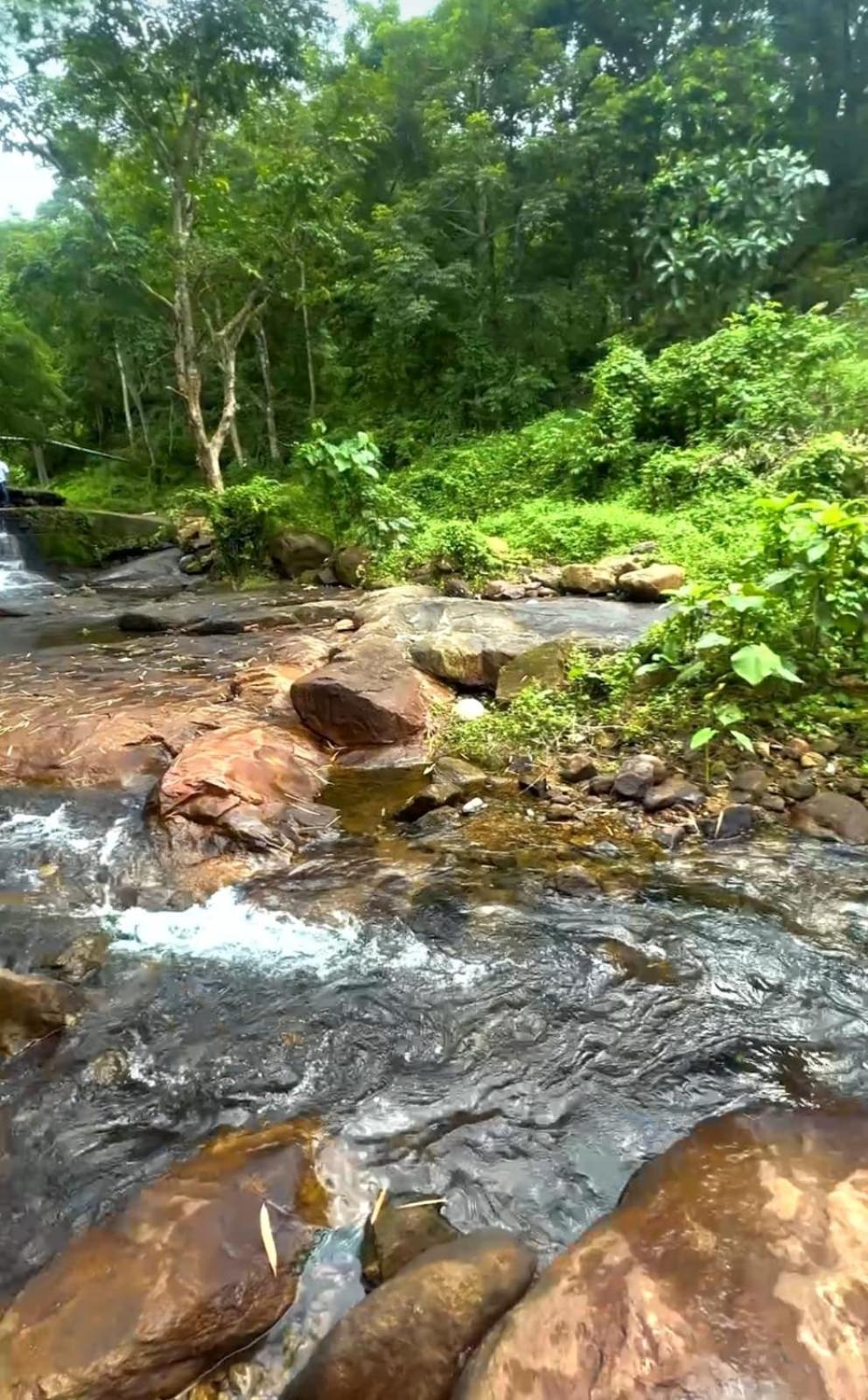 Nest Resorts Athirappilly Exteriör bild