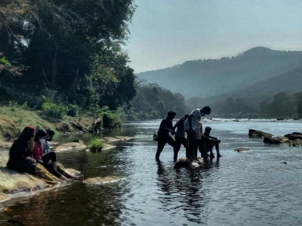 Nest Resorts Athirappilly Exteriör bild