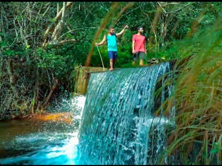 Nest Resorts Athirappilly Exteriör bild