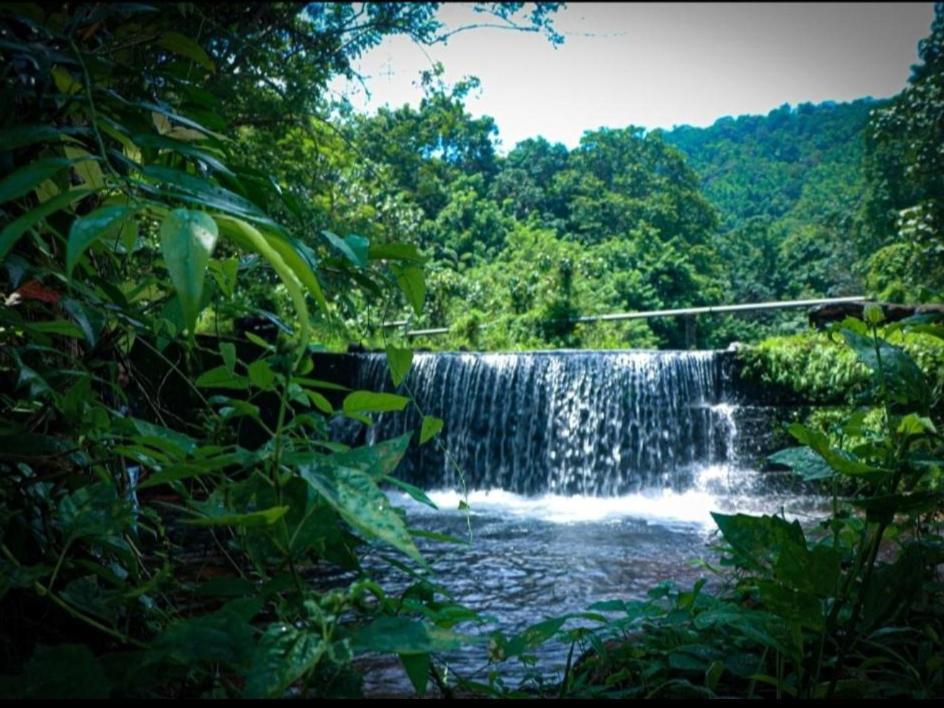 Nest Resorts Athirappilly Exteriör bild